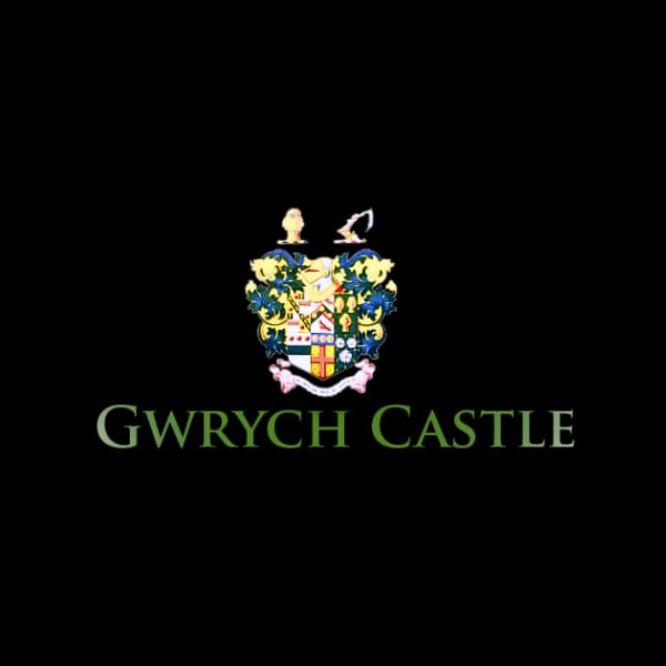 Sponsor logo #2